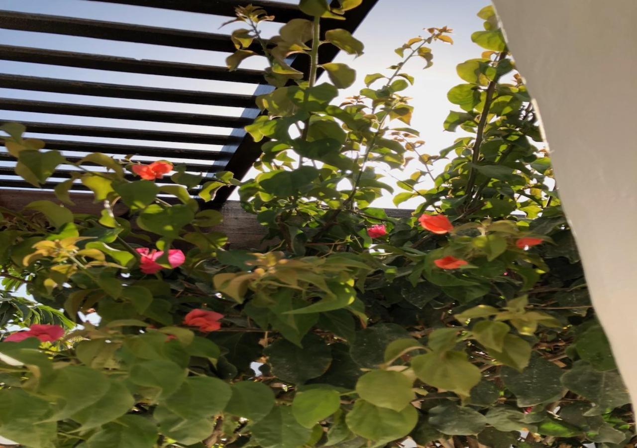 Villa Mare Bella Chao Sea View Private Heated Solar Pool Ac 푸에르토 델 카르멘 외부 사진