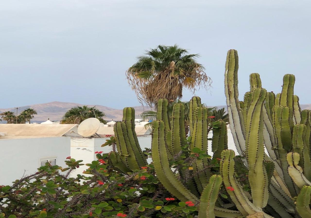Villa Mare Bella Chao Sea View Private Heated Solar Pool Ac 푸에르토 델 카르멘 외부 사진