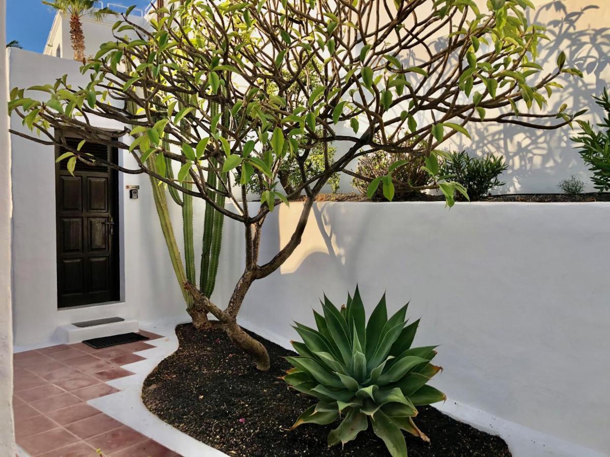 Villa Mare Bella Chao Sea View Private Heated Solar Pool Ac 푸에르토 델 카르멘 외부 사진